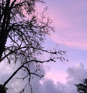 Meet your Posher, Molly